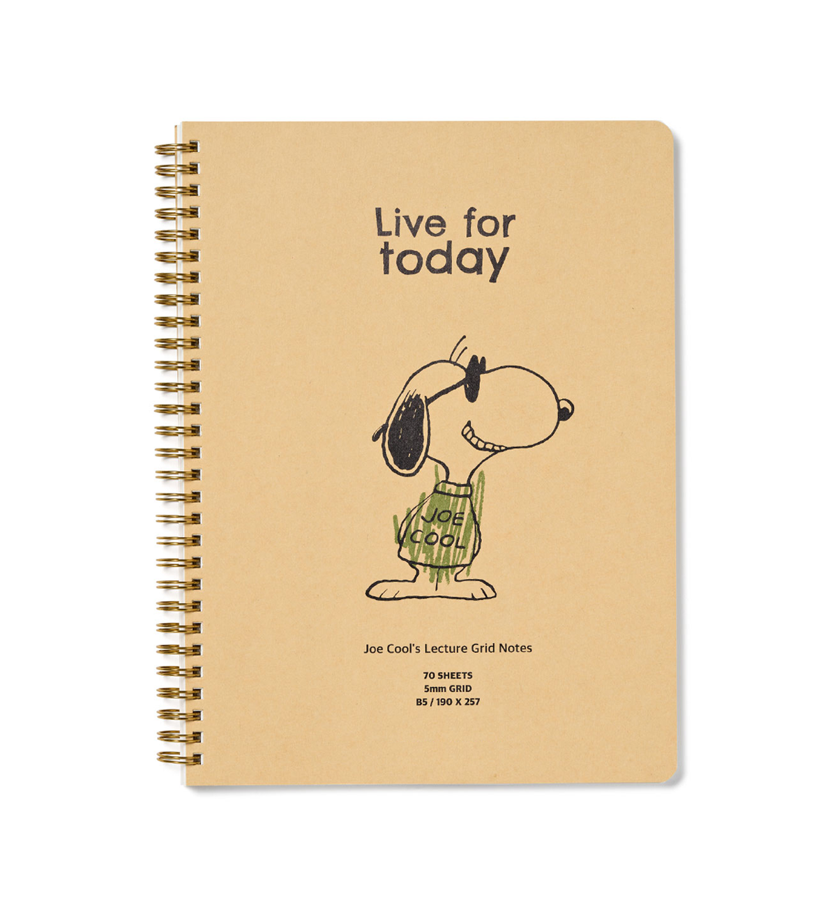 Peanuts Snoopy Joe Cool Grid Notebook [B5]