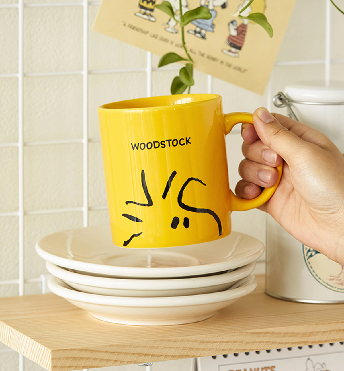 Snoopy & Woodstock Face Mug [2 Designs]