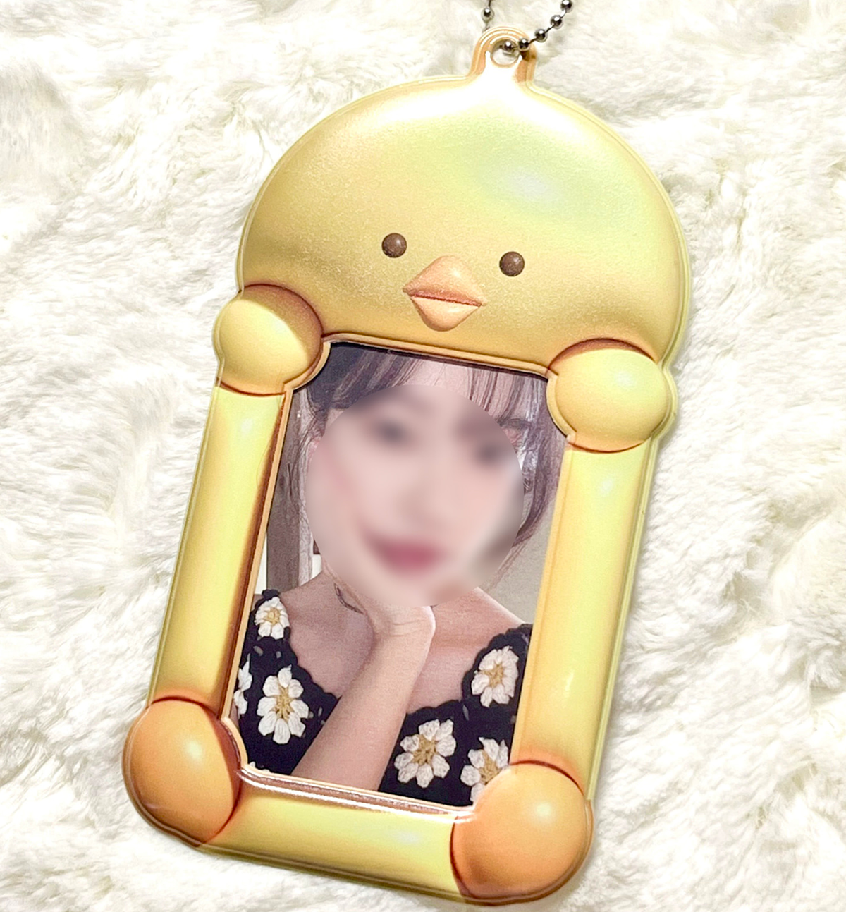Baby Chick Photocard Holder