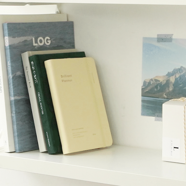 2026 Brilliant Daily Planner