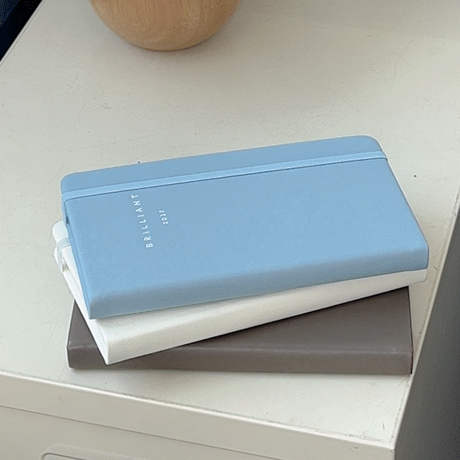 2027 Brilliant Monthly Mini Planner