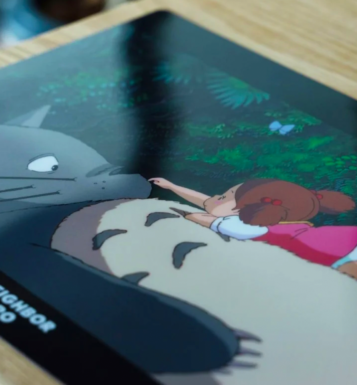 A4 My Neighbour Totoro Clear File Folder