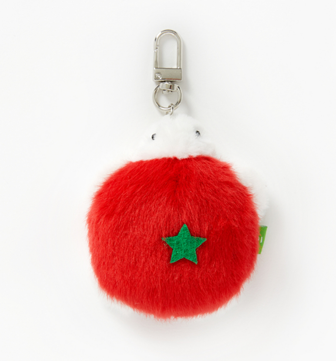 Tomato Turtle Mini Keyring