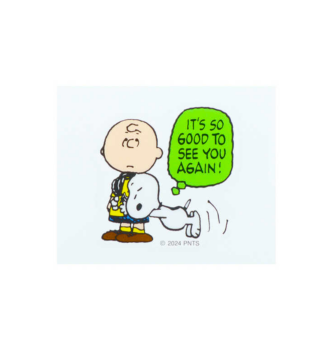 [JAPAN] Peanuts Snoopy Reusable Sticker [Charlie Brown & Snoopy]