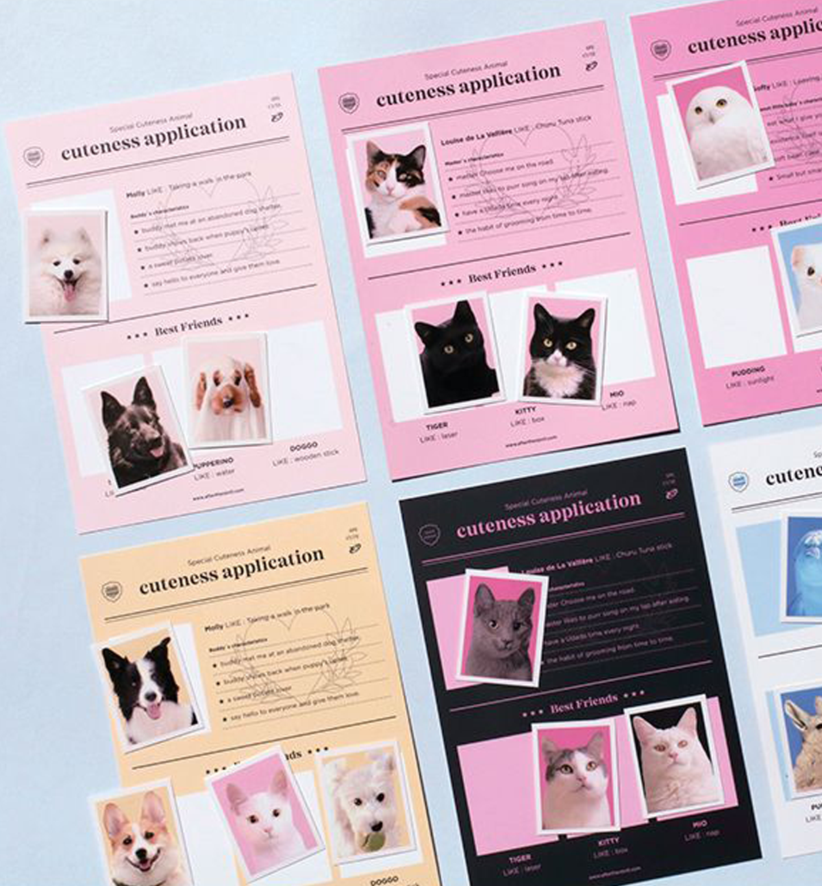 Animal Lover Sticker Pack