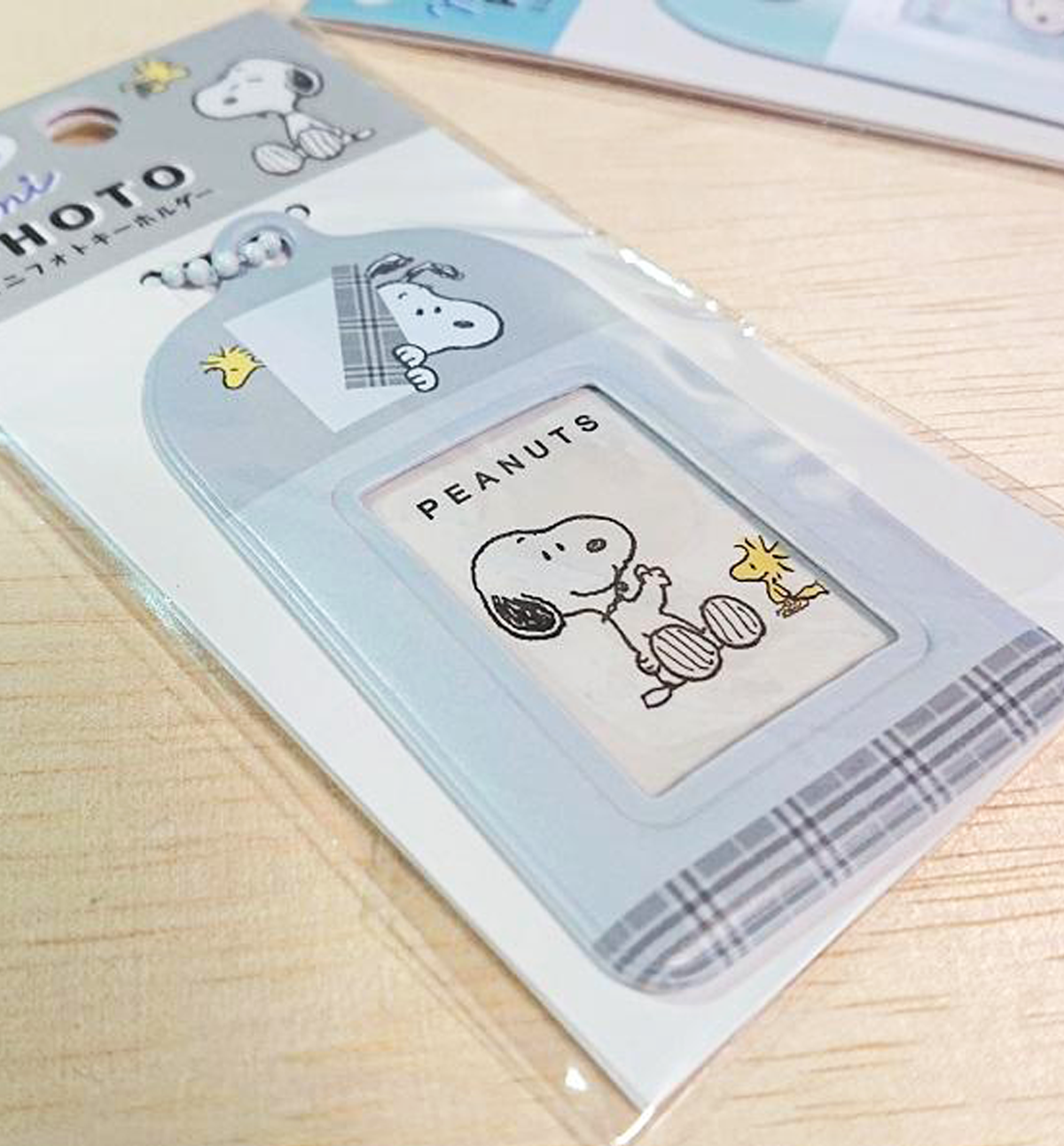 Snoopy & Friends Mini Photocard Holder [Gray]