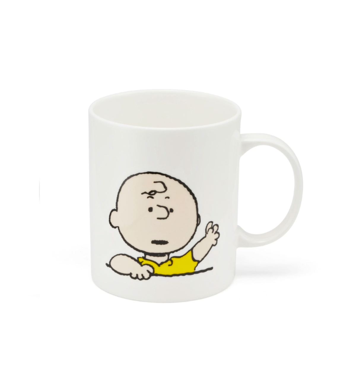 Wall of Thoughts Charlie Brown Mug Cup