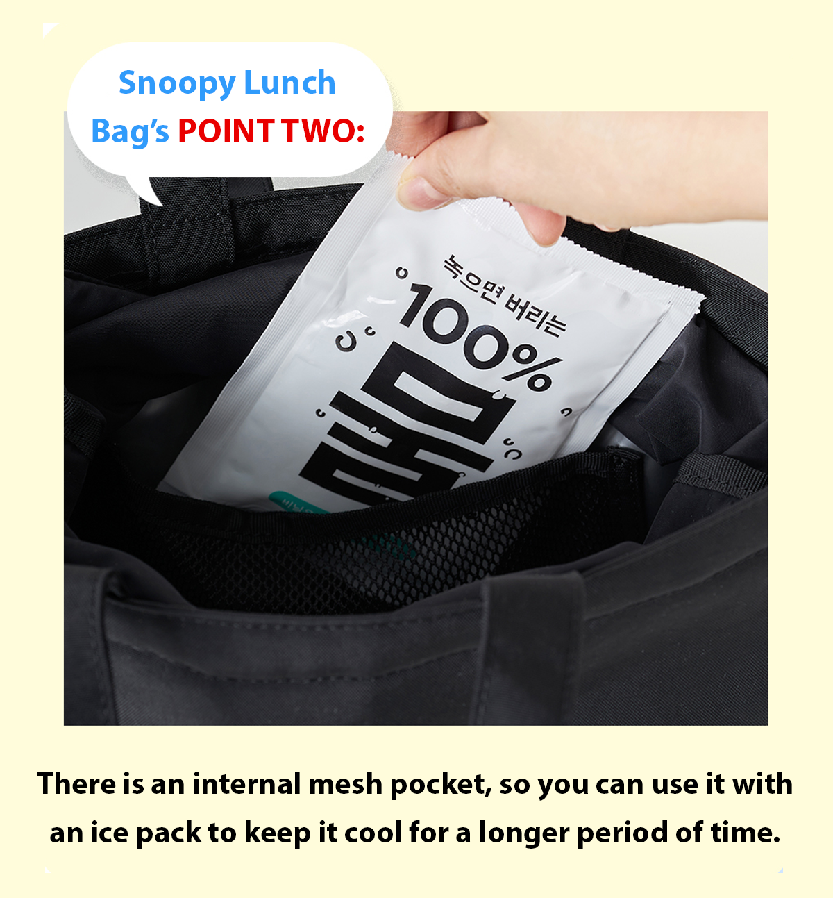 Peanuts Snoopy Lunch Bag