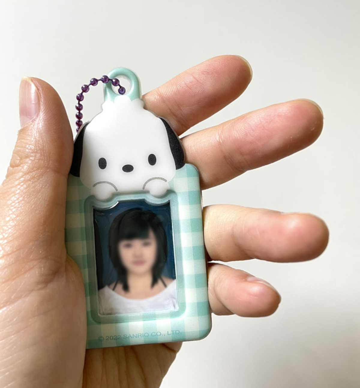 Sanrio Mini Photo Holder Keyring [Set Of 2]