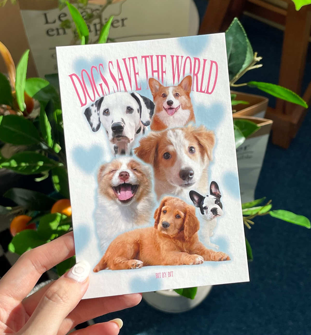 Dogs Postcard
