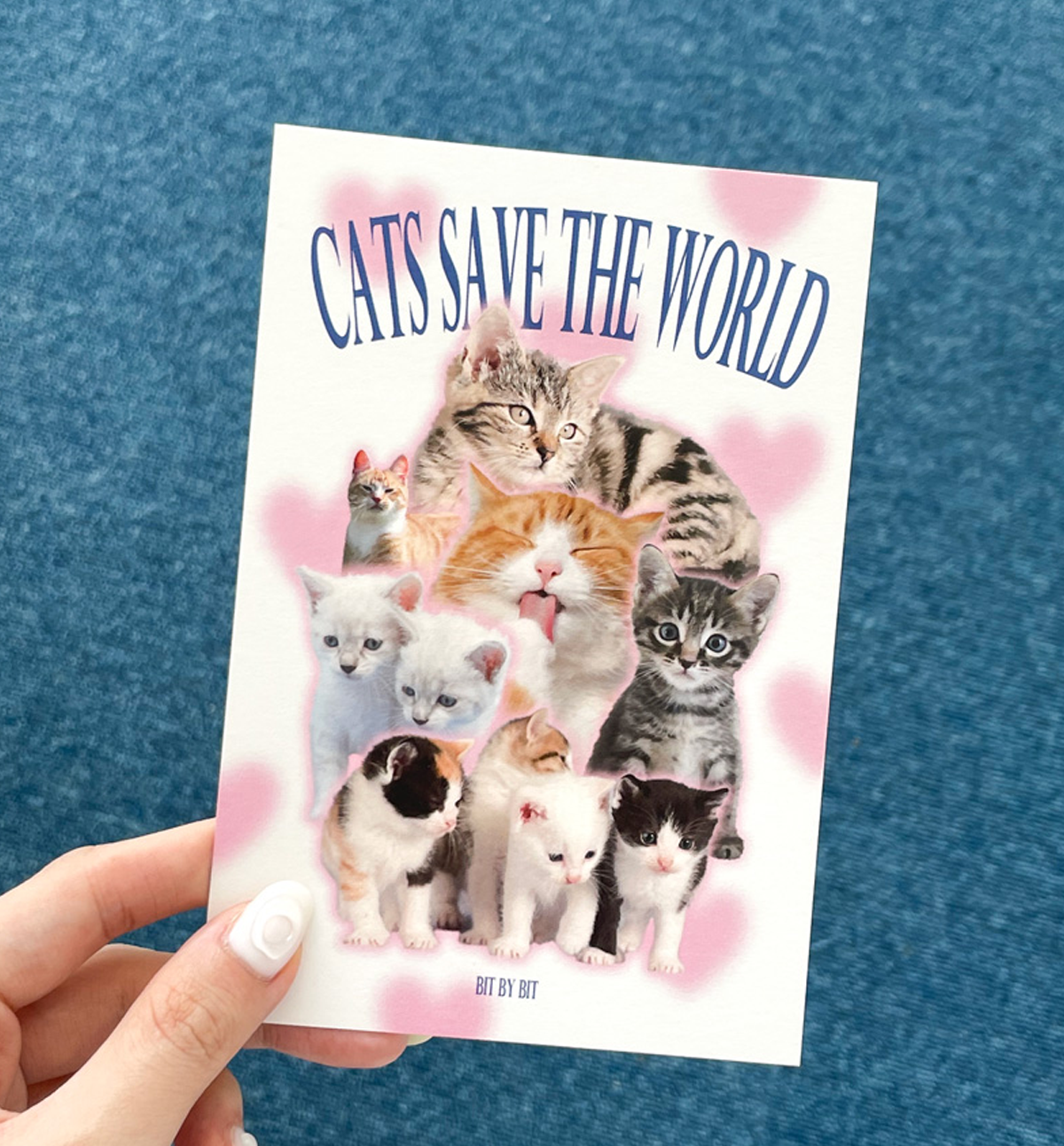 Cats Postcard
