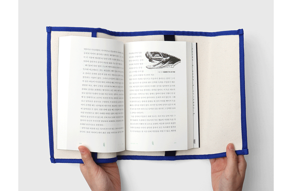 Very Very Canvas Book Cover