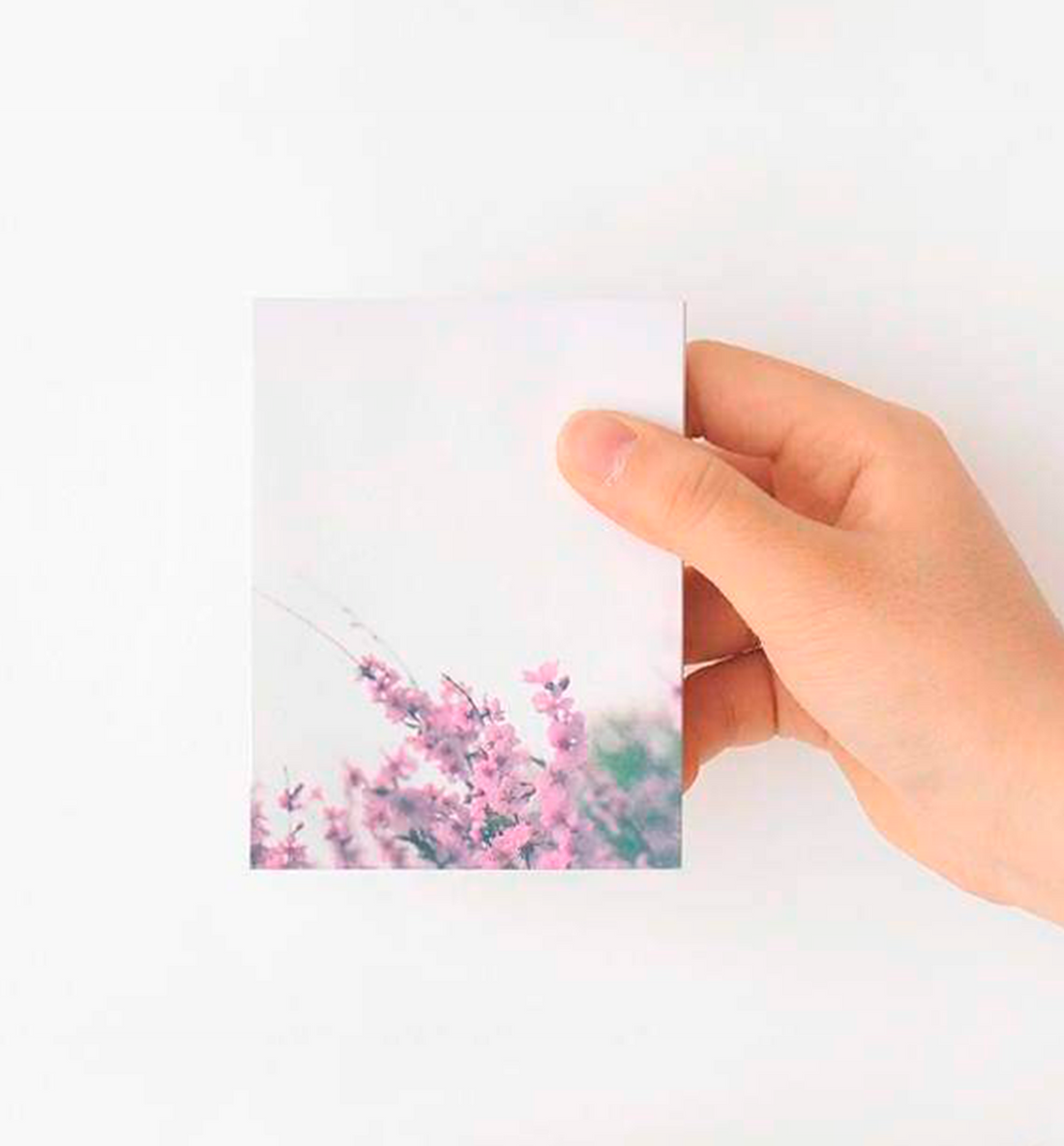 Flower Spring Memopad