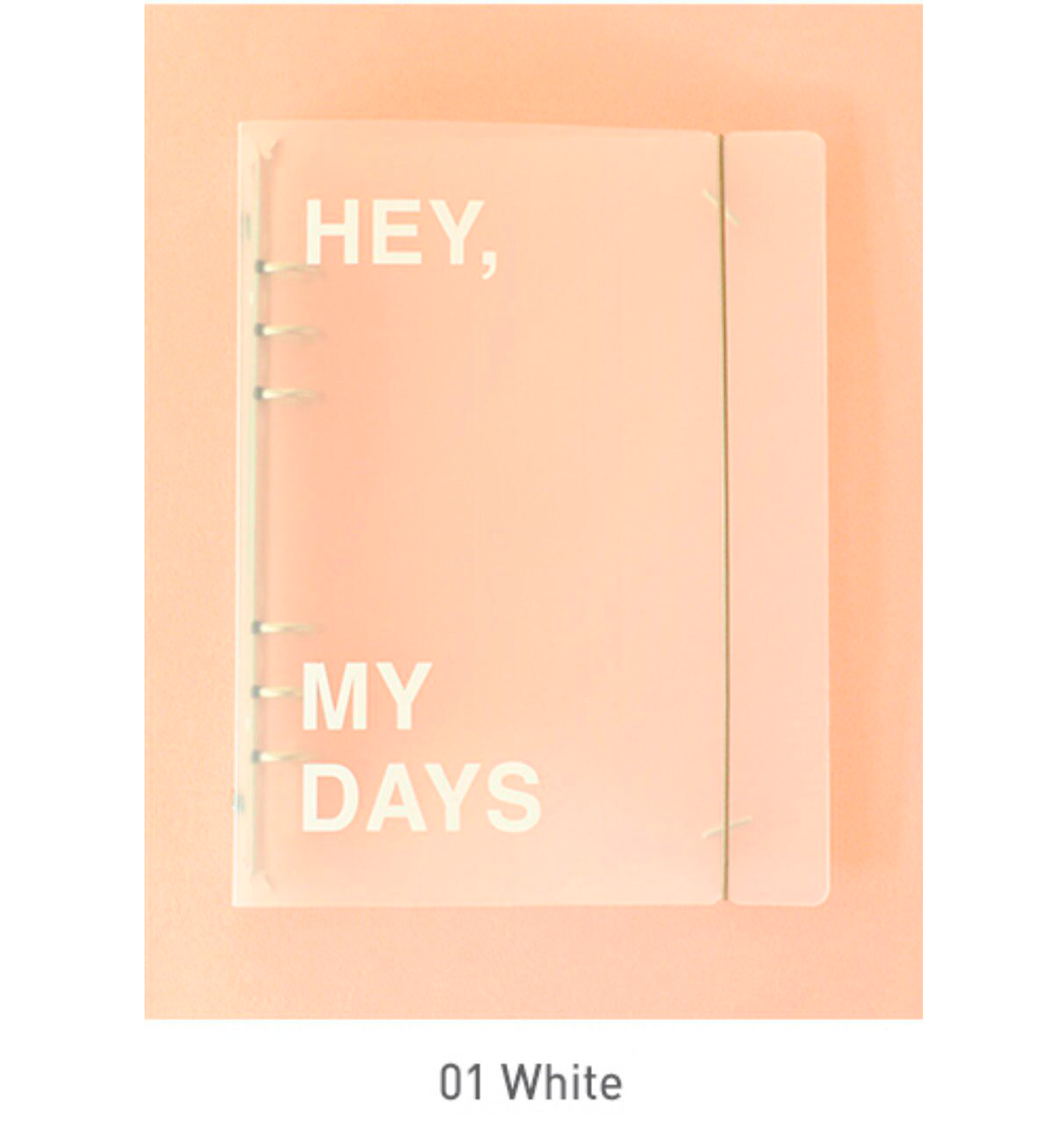 A5 Clear Binder Cover [Hey My Days]