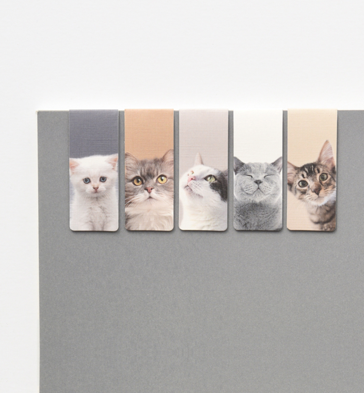 5 My Pet Cat Magnetic Bookmark