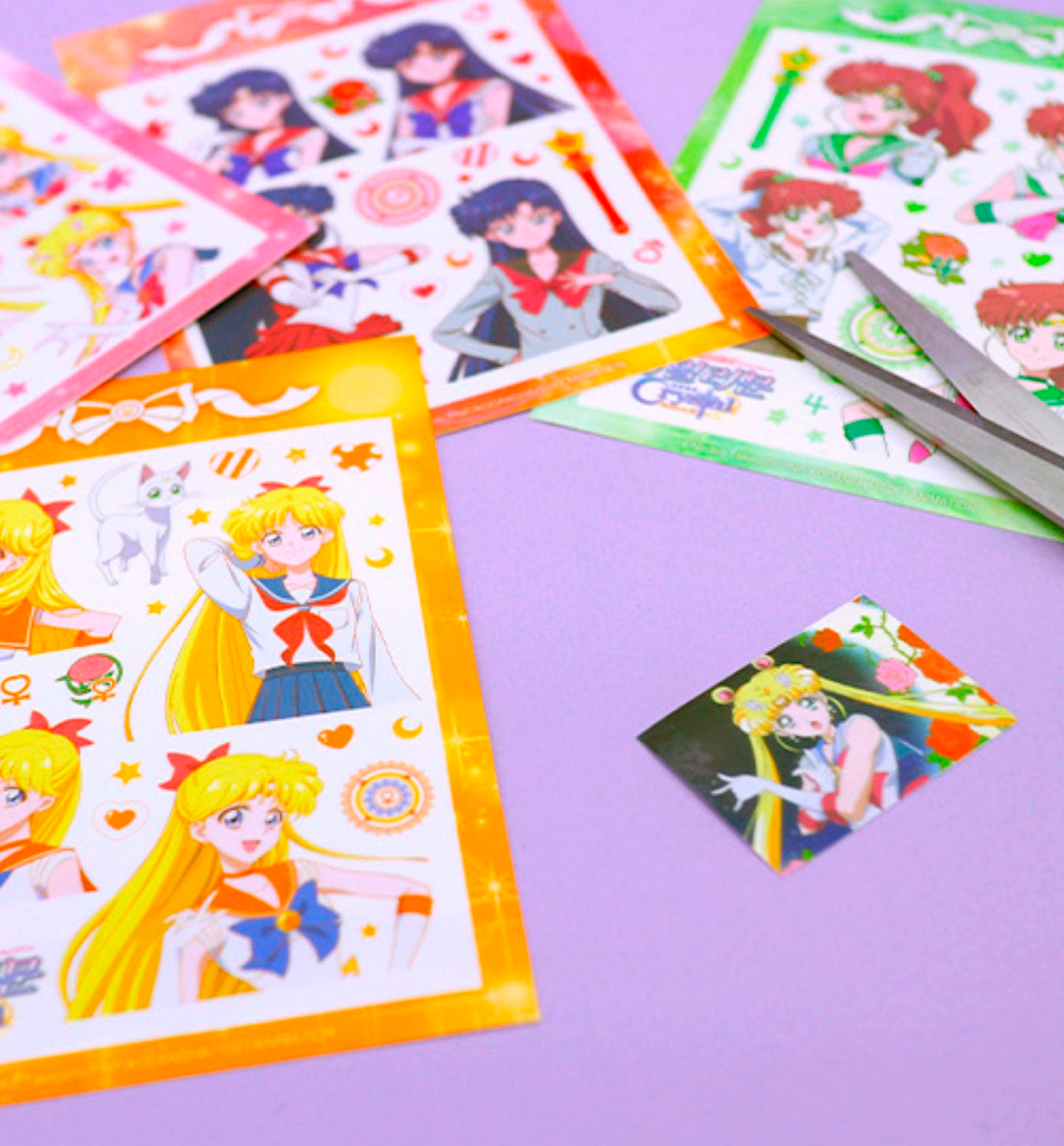 Sailor Moon Members Sticker