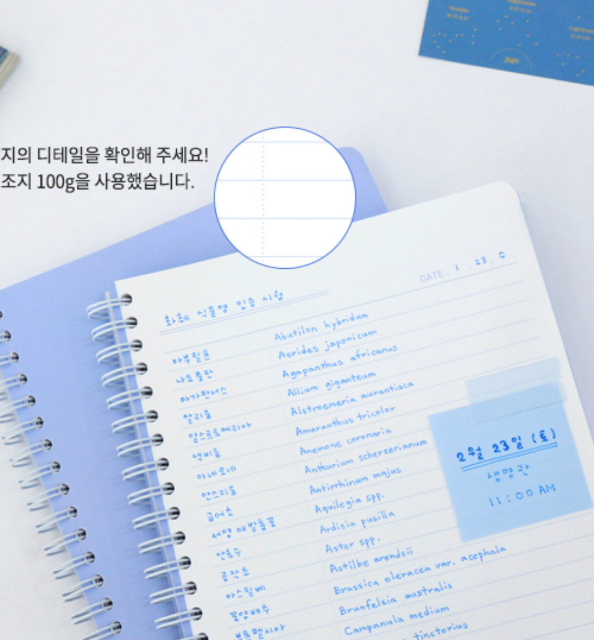 Spring Ruled Notebook [Sky Blue]