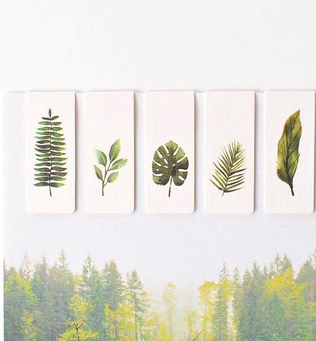 5 Tropical Plants Magnetic Bookmark