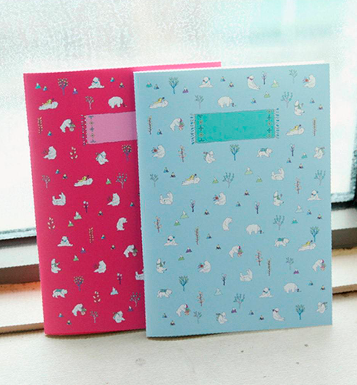 2 Ruler Notebook Set