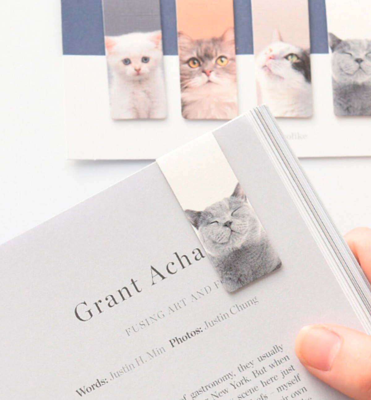 5 My Pet Cat Magnetic Bookmark