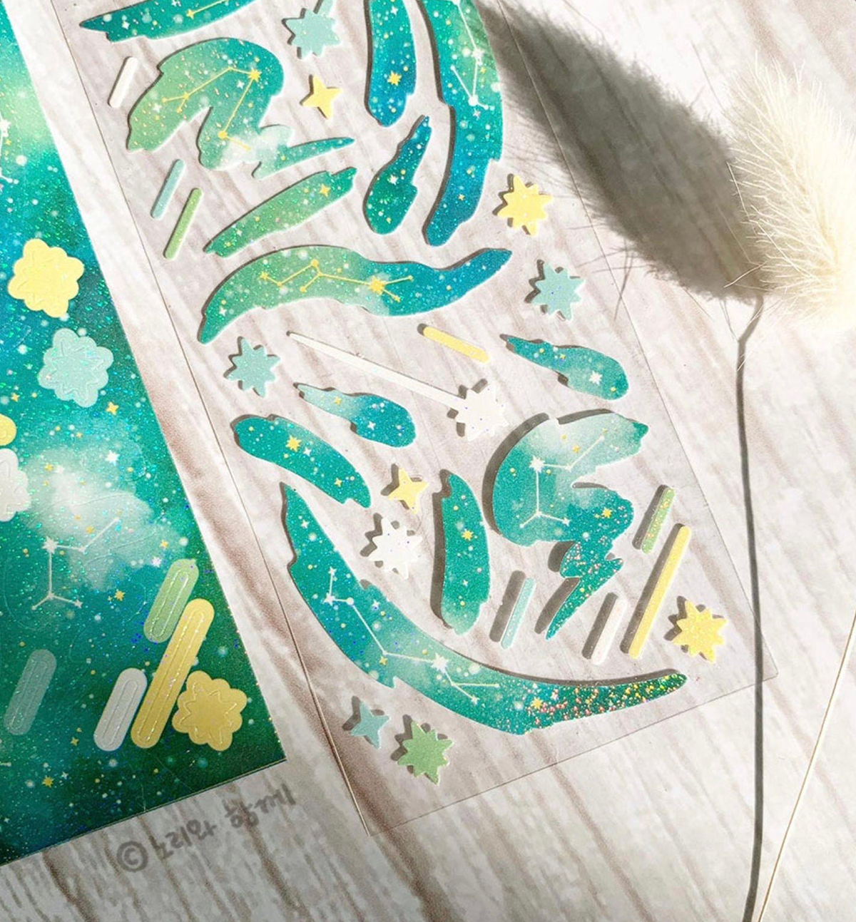 Space Confetti Seal Sticker [Forest]