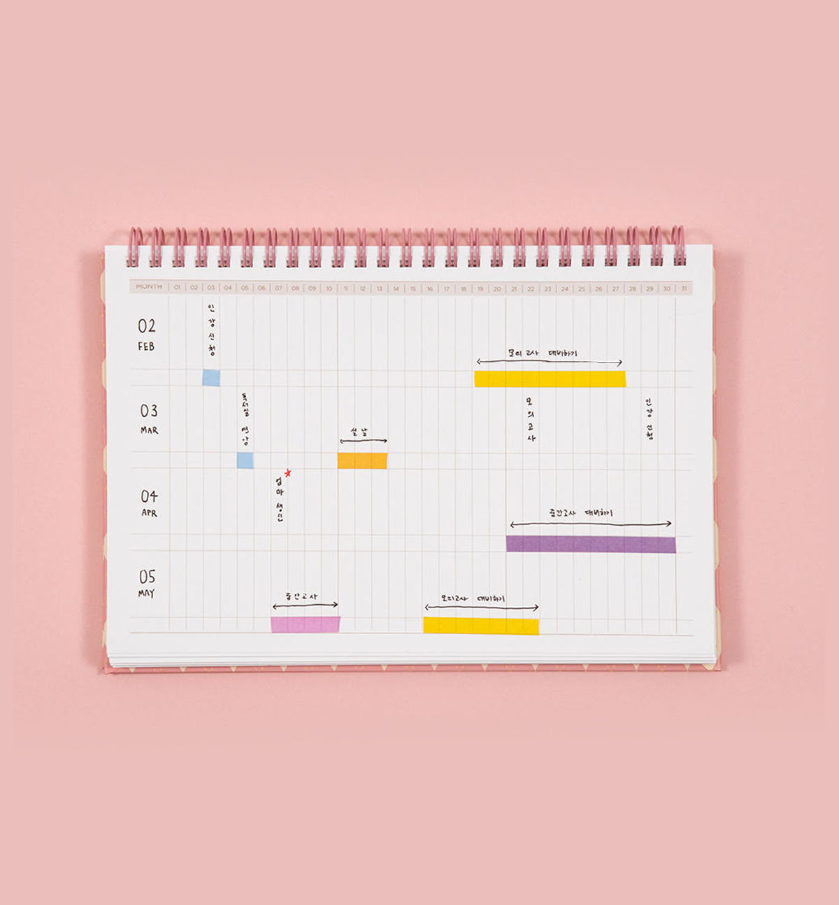 Slow And Steady Planner [4months]