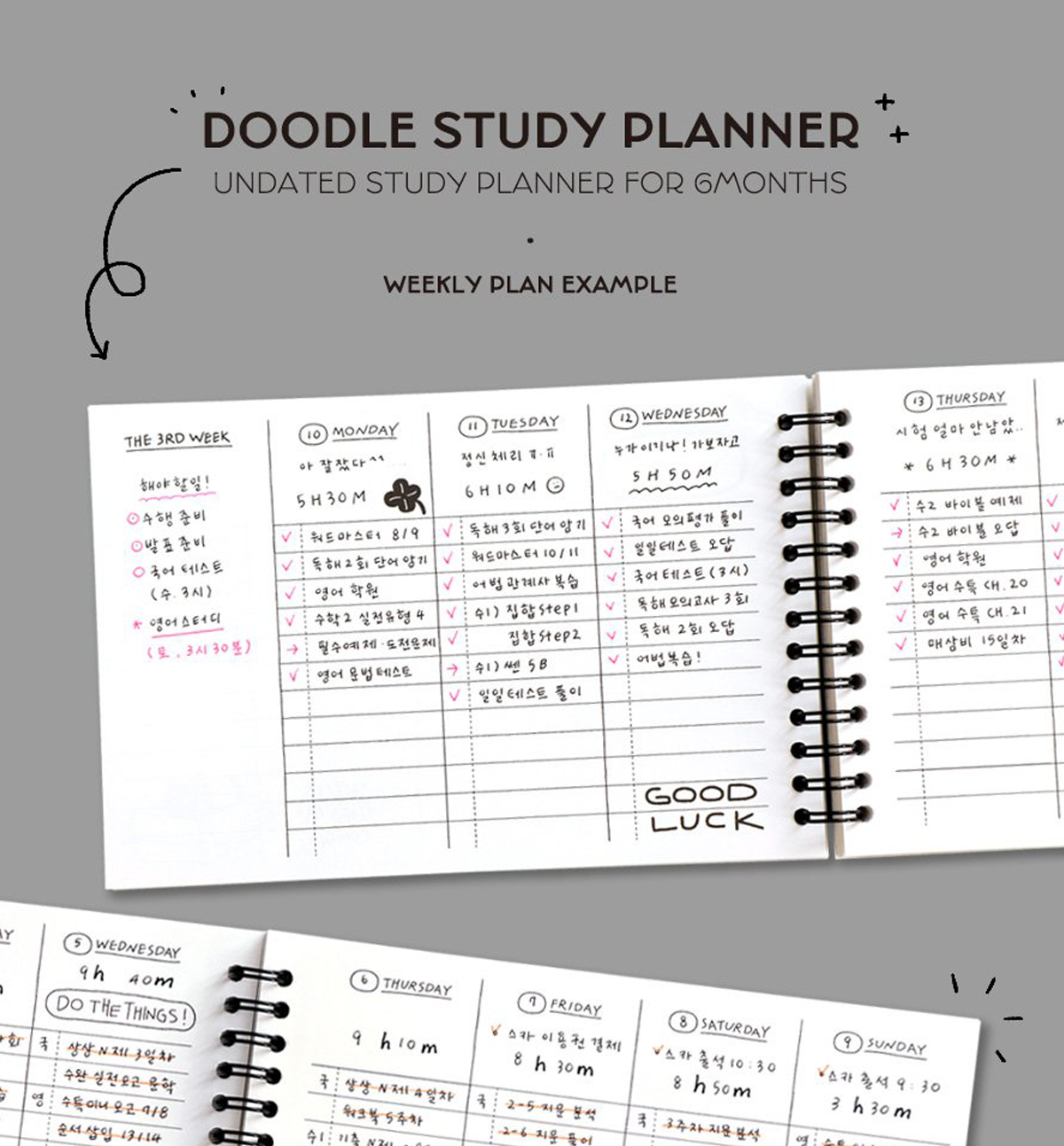Doodle Study Planner [6 Months]