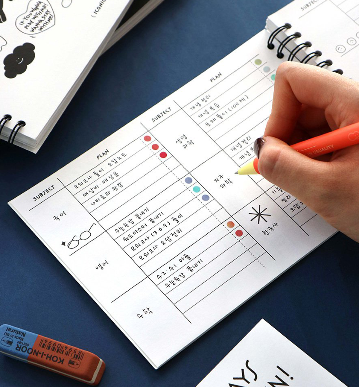 Doodle Study Planner [6 Months]